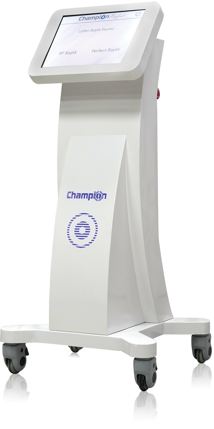 Champion | Perfect